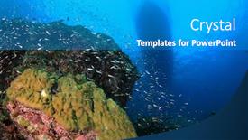  Presentation with coral - Presentation theme having coral reef with dive boat above background and a teal colored foreground