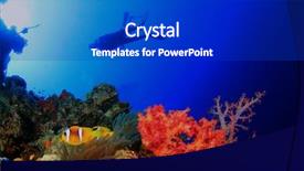  Presentation with swim - Beautiful slide deck featuring coral reef with nemo backdrop and a dark gray colored foreground