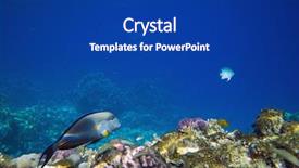  Presentation with fishes - Beautiful presentation theme featuring coral reef with soft and hard corals with exotic fishes anthias backdrop and a ocean colored foreground