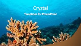  Presentation with fish ocean - Cool new presentation theme with coral reef with soft backdrop and a light gray colored foreground