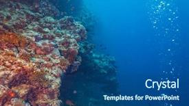  Presentation with fish ocean - Slides featuring coral reef with soft and hard corals and exotic fish on bottom of indian ocean maldives background and a ocean colored foreground