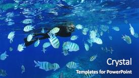  Presentation with tropical reef fish - Colorful theme enhanced with coral reef with tropical fish backdrop and a  colored foreground