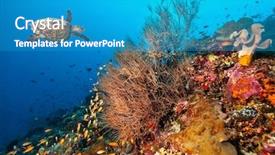  Presentation with coral reef - Amazing presentation having coral reef with turtle backdrop and a teal colored foreground