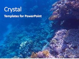 Coral Reef PPT template 96 | CrystalGraphics