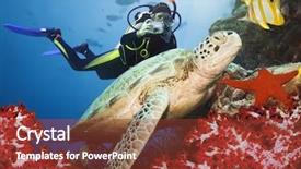  Presentation with sea coral - Presentation theme having coral sipadan celebes sea background and a tawny brown colored foreground