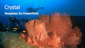  Presentation with divers - Slide deck consisting of coral sponge and scuba divers background and a teal colored foreground