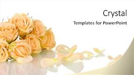  Presentation with wedding roses - Slide deck consisting of coral wedding - many roses on white background background and a white colored foreground