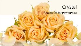 Presentation with wedding roses - Theme enhanced with coral wedding - many roses on white background background and a blonde colored foreground