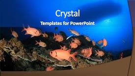  Presentation with coral reef - PPT theme featuring corals - scuba dive boat above coral background and a dark gray colored foreground