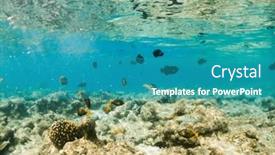  Presentation with underwater - Presentation theme enhanced with corals-and-tropical-fish-underwater background and a teal colored foreground
