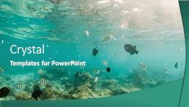  Presentation with underwater - Slide deck with corals-and-tropical-fish-underwater background and a teal colored foreground