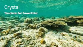  Presentation with underwater - PPT theme featuring corals-and-tropical-fish-underwater background and a  colored foreground