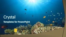  Presentation with tropical reef fish - Presentation design consisting of corals background - underwater coral reef in sea background and a ocean colored foreground