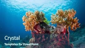  Presentation with indonesia - Audience pleasing slide deck consisting of corals in the tropical sea backdrop and a ocean colored foreground