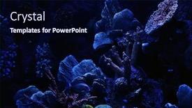  Presentation with under water - Slide set having corals under water background and a navy blue colored foreground
