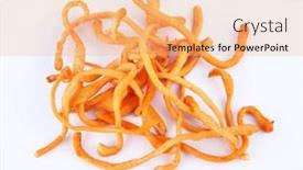  Presentation with mushroom - Theme consisting of cordyceps-sinensis-mushroom-an-isolated background and a coral colored foreground