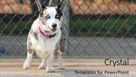  Presentation with public - Amazing slide set having note in blue jeans pocket backdrop and a sky blue colored foreground