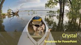  Presentation with expedition - Presentation design having  background and a  colored foreground.