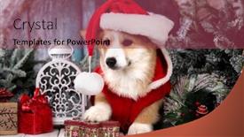 Presentation with new year - PPT theme with corgi-puppy-in-a-santa background and a violet colored foreground