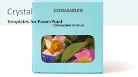  Presentation with herbal medicine healing herbs mortar - Slide deck with coriander-medicinal-herbs background and a light blue colored foreground