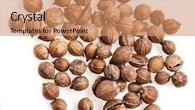  Presentation with seeds - PPT layouts featuring coriander seeds close up macro background and a coral colored foreground