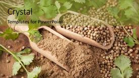  Presentation with powdered - Slide deck consisting of coriander seeds fresh coriander background and a gold colored foreground