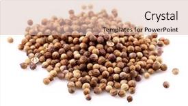  Presentation with seeds - PPT layouts enhanced with coriander seeds in closeup background and a  colored foreground