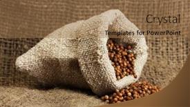  Presentation with seeds - Amazing PPT layouts having robot - 3d render of a futuristic backdrop and a dark gray colored foreground.