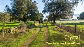  Presentation with oak - Presentation theme with cork-oak-trees-quercus-suber background and a tawny brown colored foreground