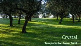  Presentation with oak - Theme with cork-oak-trees-quercus-suber background and a tawny brown colored foreground