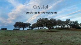 Presentation with oak - PPT layouts enhanced with cork-oak-trees-quercus-suber background and a light blue colored foreground