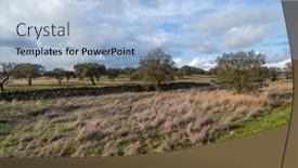  Presentation with oak - Theme featuring cork-oak-trees-quercus-suber background and a light blue colored foreground