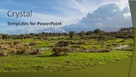  Presentation with oak - PPT theme enhanced with cork-oak-trees-quercus-suber background and a light blue colored foreground