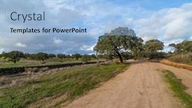  Presentation with oak - PPT layouts featuring cork-oak-trees-quercus-suber background and a light blue colored foreground