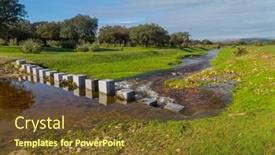  Presentation with oak - Slide deck featuring cork-oak-trees-quercus-suber background and a tawny brown colored foreground