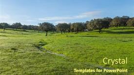  Presentation with oak - PPT theme featuring cork-oak-trees-quercus-suber background and a tawny brown colored foreground
