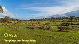  Presentation with oak - Presentation theme consisting of cork-oak-trees-quercus-suber background and a tawny brown colored foreground
