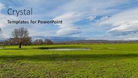  Presentation with oak - PPT theme enhanced with cork-oak-trees-quercus-suber background and a  colored foreground