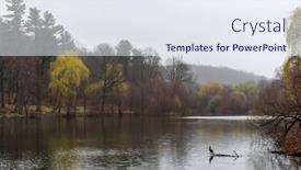  Presentation with branch - PPT theme with cormorant-perched-on-a-fallen background and a sky blue colored foreground