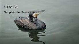  Presentation with fish people - Amazing slides having people's republic of china backdrop and a light gray colored foreground