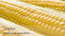  Presentation with corn - 