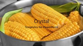  Presentation with corn cob - Colorful PPT theme enhanced with corn cob - tasty boiled corncobs in saucepan backdrop and a gold colored foreground