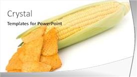  Presentation with corn cob - Slides consisting of corn cob and corn chips isolated on white background background and a white colored foreground