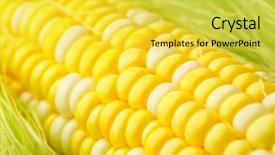  Presentation with corn cob - Presentation enhanced with corn cob close up background and a yellow colored foreground
