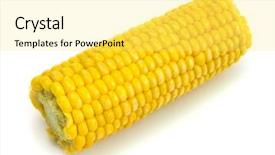  Presentation with corn cob - Slide deck enhanced with corn cob isolated background and a yellow colored foreground