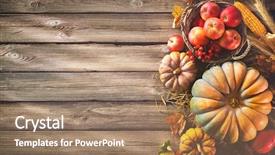  Presentation with corn cobs - PPT theme consisting of corn cobs wheat and falling background and a coral colored foreground