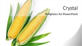  Presentation with green leaves - Cool new theme with green leaves ripe vegetables harvest backdrop and a  colored foreground