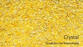  Presentation with corn - Slide deck having corn croup as the background background and a  colored foreground