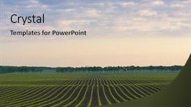  Presentation with corn field - Presentation design having corn field - morning landscape cornfield natural line background and a light blue colored foreground