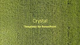  Presentation with agriculture corn - Cool new presentation theme with corn-field-top-down-aerial backdrop and a tawny brown colored foreground